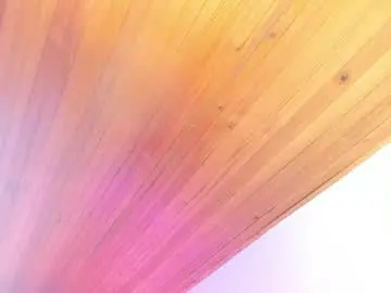 Chaturbate Sex Cam of irisbeel