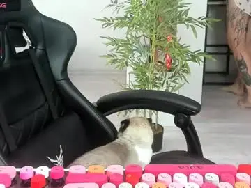 Chaturbate Live Porn of _feralberry__