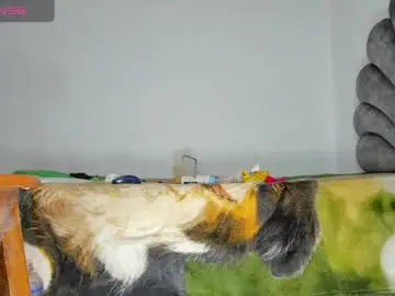 Chaturbate Live Porn of vicky_hotteei