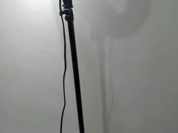 Chaturbate Free Live Porn of dylan_brook