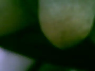 Chaturbate Live Porn of tallgentleman