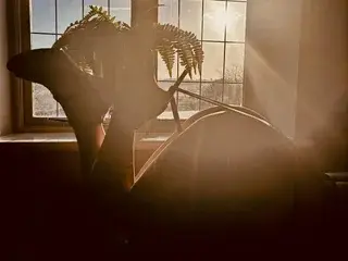 Streamate Adult Webcam of KatieCarterX