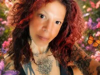 Streamate Adult Webcams of Mariposatatto