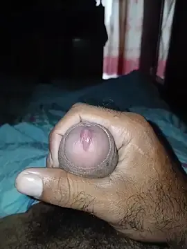 Stripchat Free Porn Cam of taylorWiiz