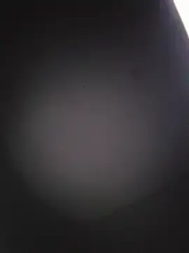 Stripchat Best live sex cam show of sillerzinha