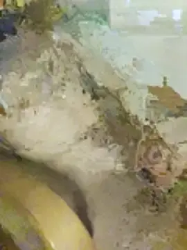 Stripchat Sex Chat of AndrewXSky