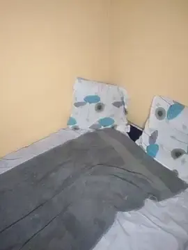 Stripchat Best Webcam of Danjim9