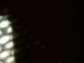Stripchat Live Porn of Gigadickman