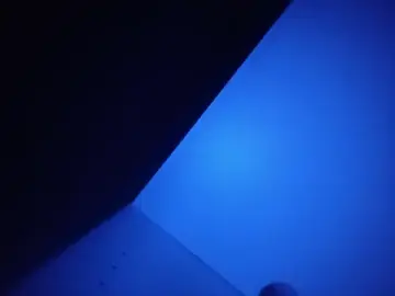 Stripchat Watch Live Sex Cams of ogogooo
