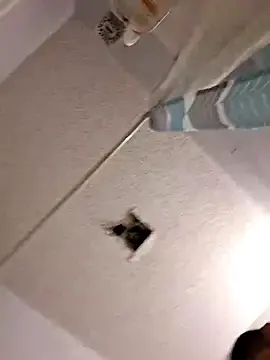 Stripchat Free Porn Cam of Texasboi3300