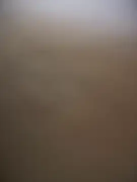 Stripchat Live Sex of sammyqueenx21
