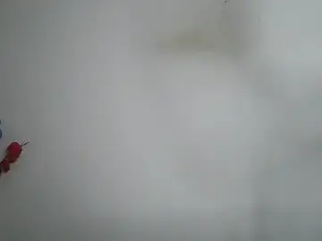 Stripchat Watch Live Sex Cams of Sassy_girlll