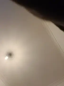 Stripchat Live Porn of Levarboy
