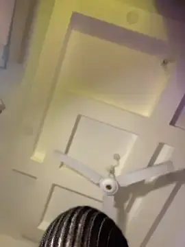 Stripchat Sex Cam of t-Booty_risky_