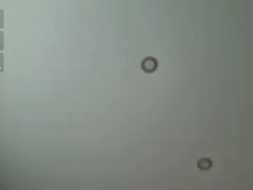 Stripchat Best live sex cam show of Hey_Kris