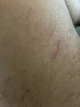 Stripchat Free Porn Cam of nach2026