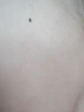 Stripchat Best live sex cam show of sanaya_baby