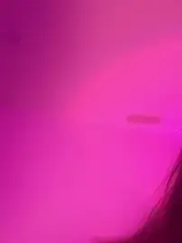 Stripchat Sex Chat of alldogsgotoheaven