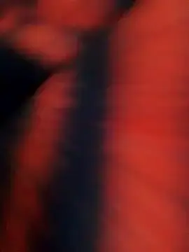 Stripchat Live Porn of mercymercyy